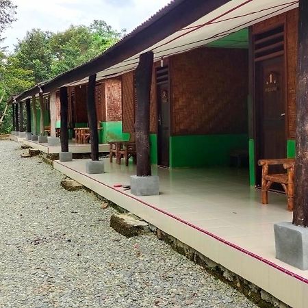 Green Lodge Tangkahan Exterior photo