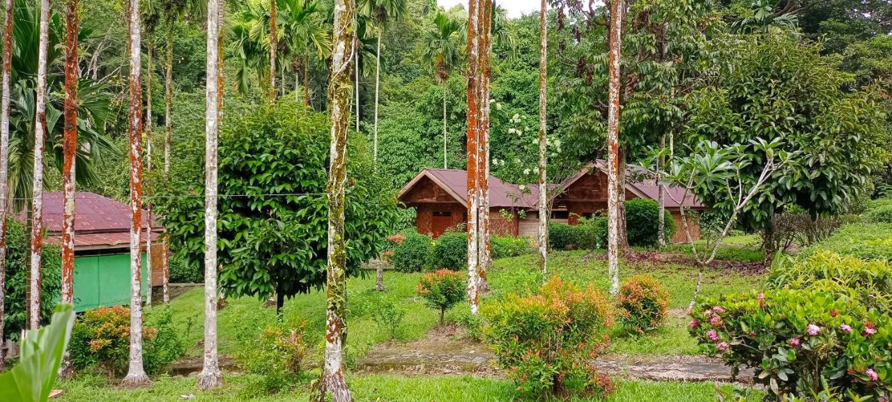 Green Lodge Tangkahan Exterior photo