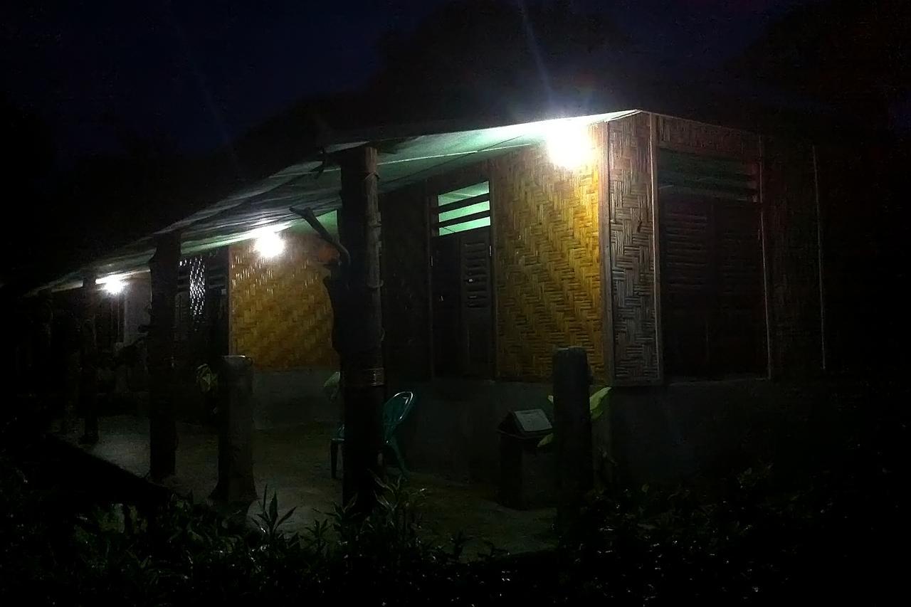 Green Lodge Tangkahan Exterior photo