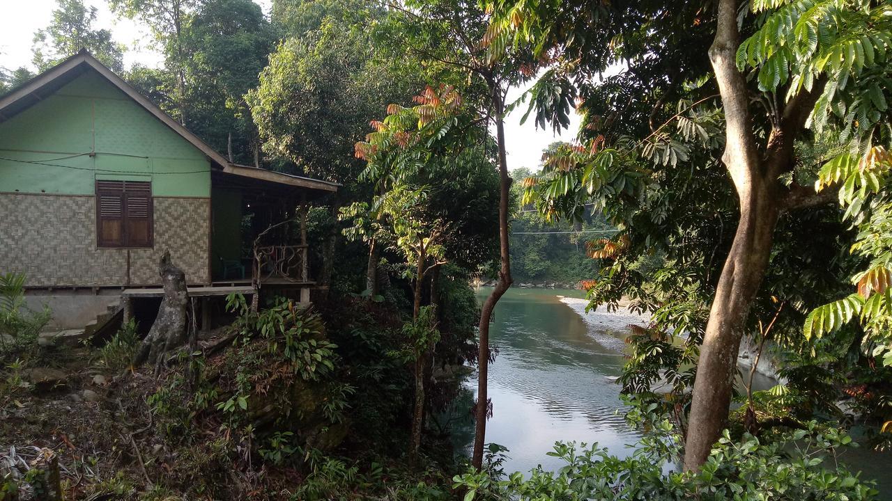 Green Lodge Tangkahan Exterior photo